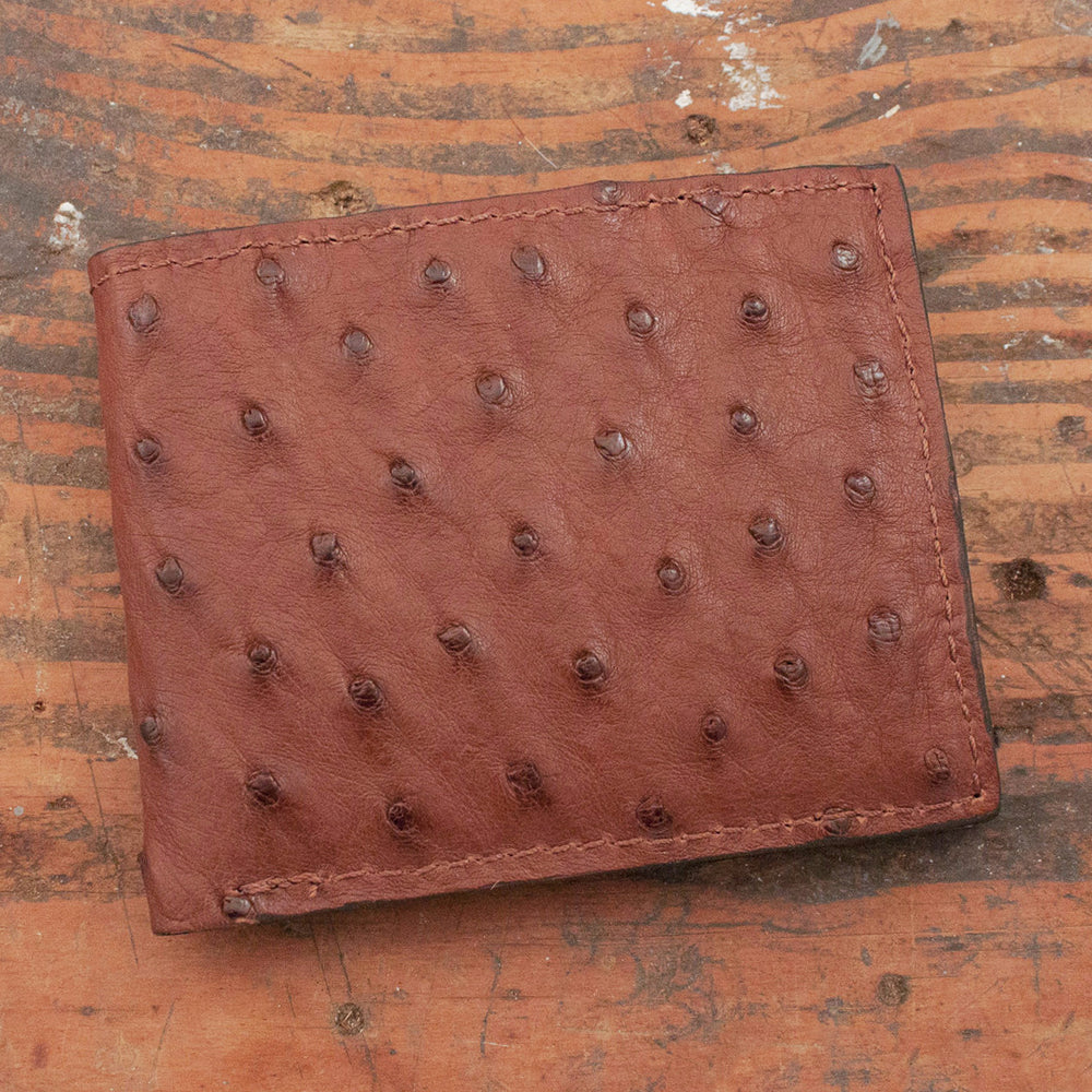 BROWN Genuine Ostrich Leather Skin Credit Card Holder/ Mini Wallet Card for  Men